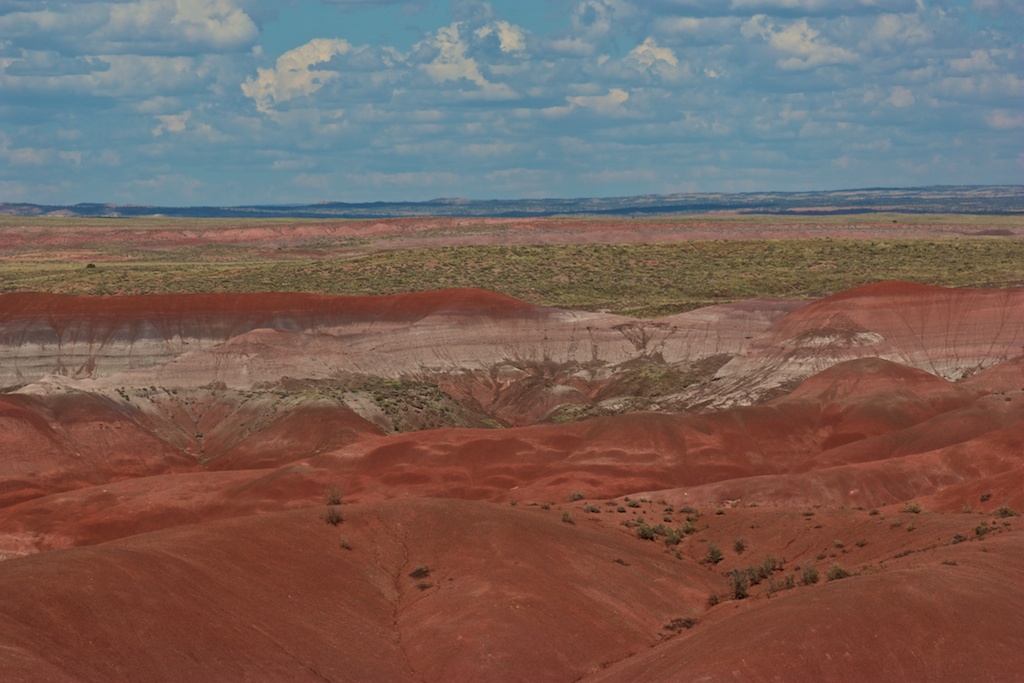 Colors of the Desert